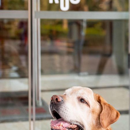 Ibis Heilbronn City Ngoại thất bức ảnh