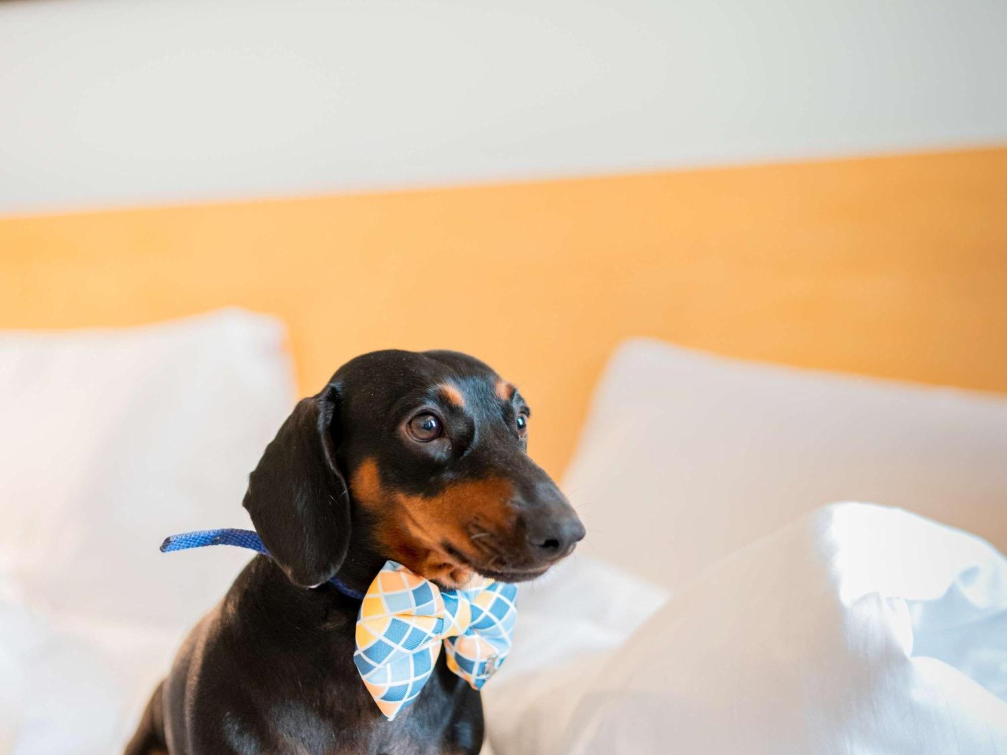 Ibis Heilbronn City Ngoại thất bức ảnh