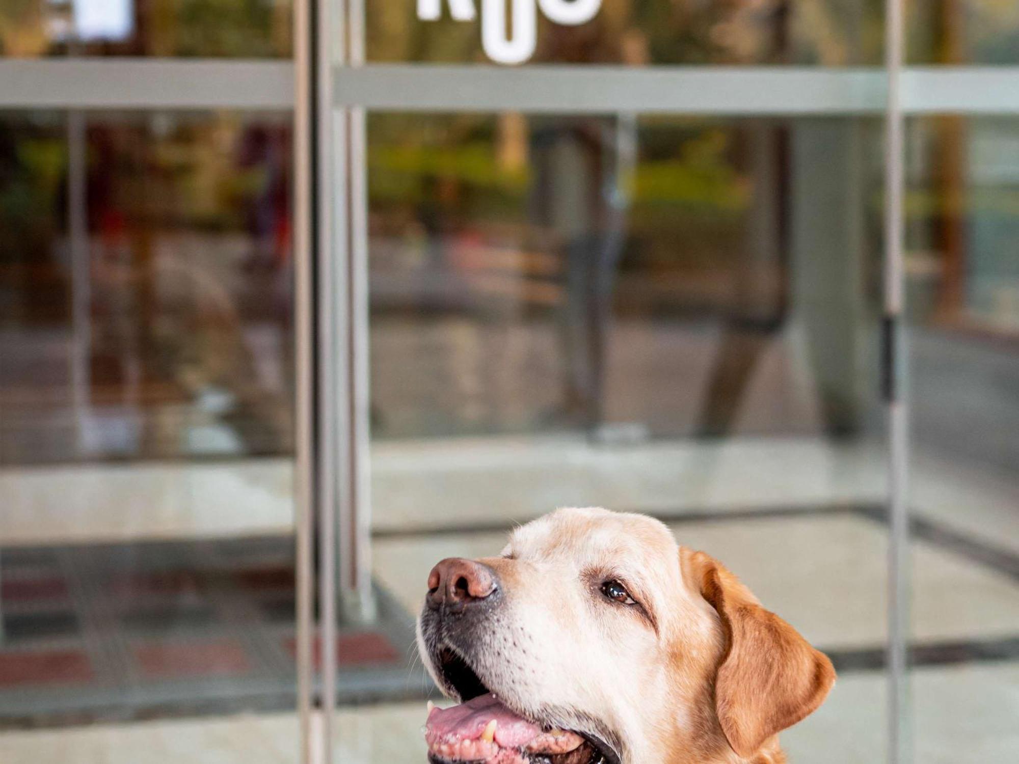 Ibis Heilbronn City Ngoại thất bức ảnh